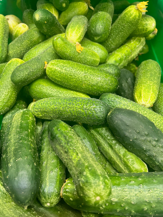 Cucumbers