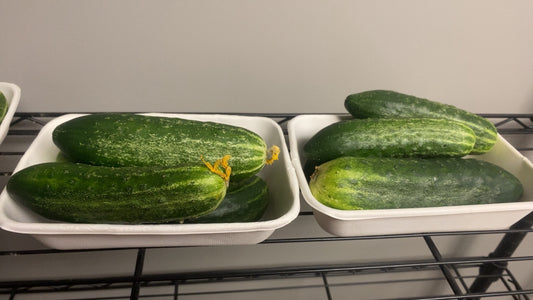 Cucumbers