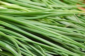 Fresh Cut Herbs
